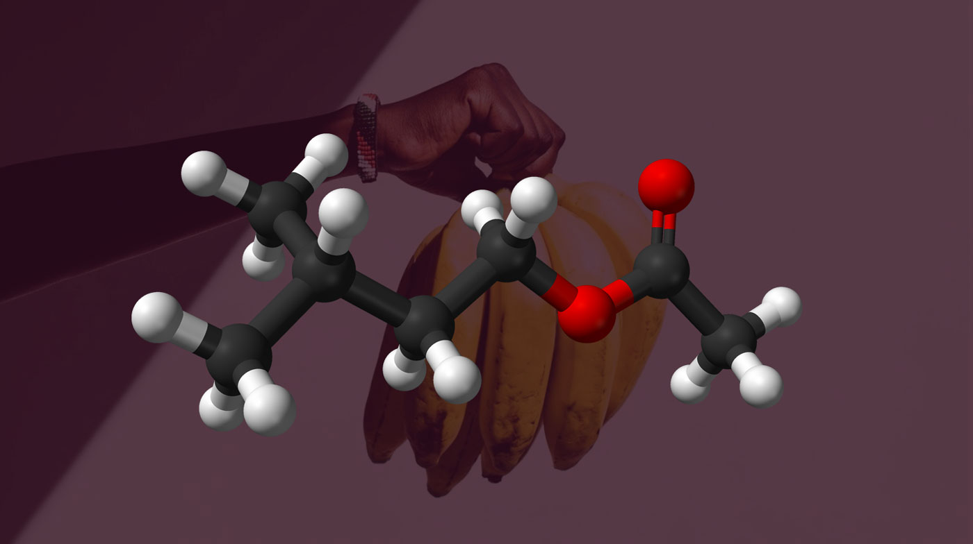 Isoamyl Acetate, molecule responsible for banana flavor